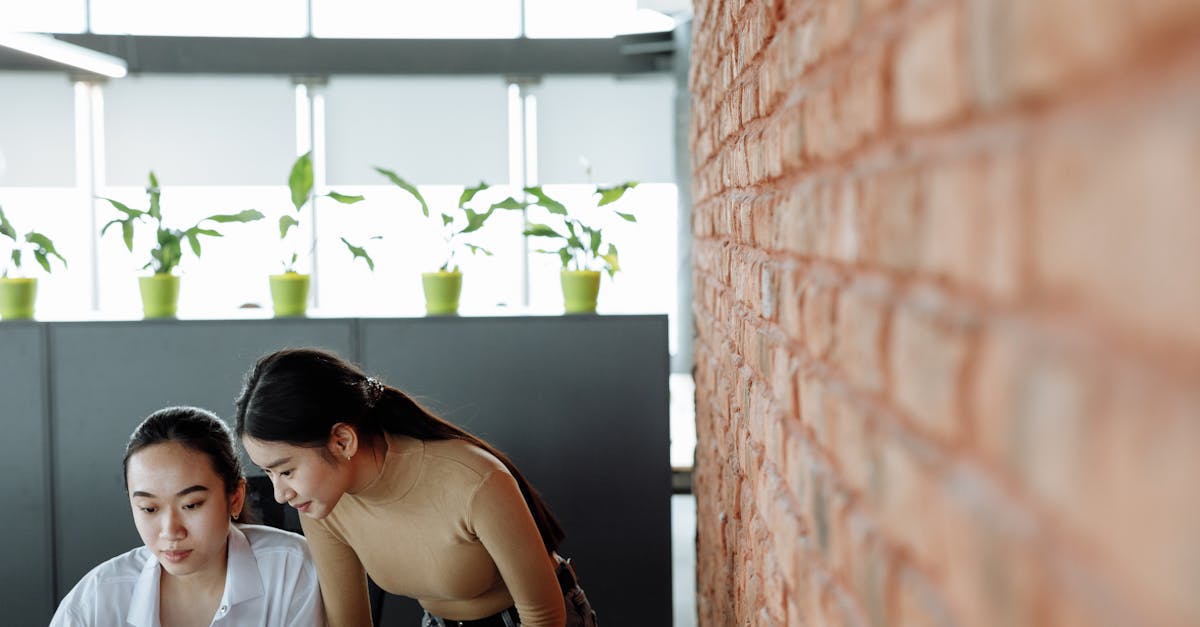 海鸥实名账号:速购的app详情下载教程